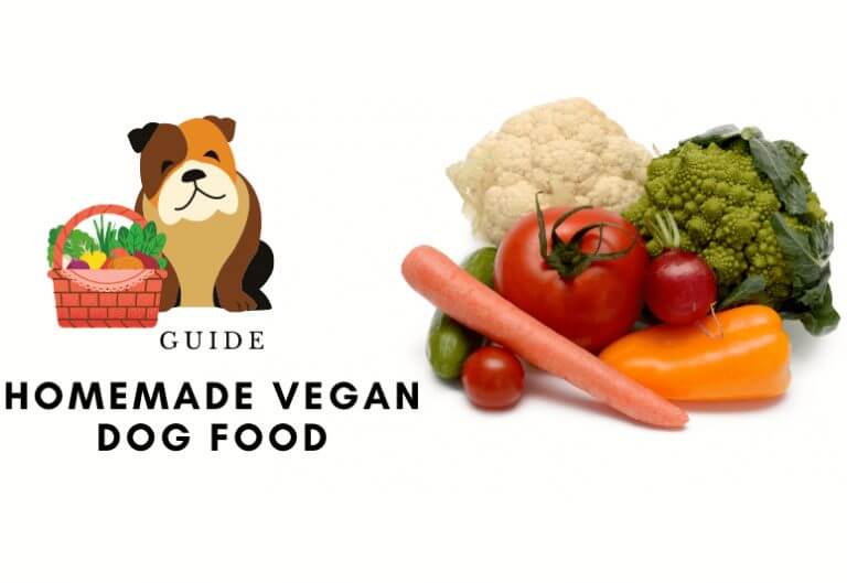 Homemade vegan dog food diet - homemade vegetarian dog food diet - vegan diet for dogs (1)