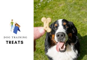 DOG TRAINING TREATS - DOG TREATS (1)