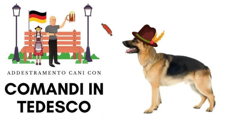 Educazione & Addestramento Cani in Italia 2020 [INFOGRAFICA]