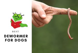 5 BEST DEWORMERS FOR DOGS - How to deworm a dog or a puppy (1)
