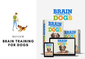 Adrienne faricelli dog training program - brain training for dogs review - is it worth your money is it a scam (1)