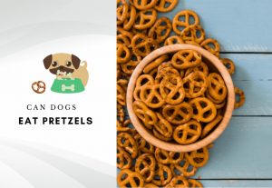 Can dogs eat pretzels – can dogs have pretzels