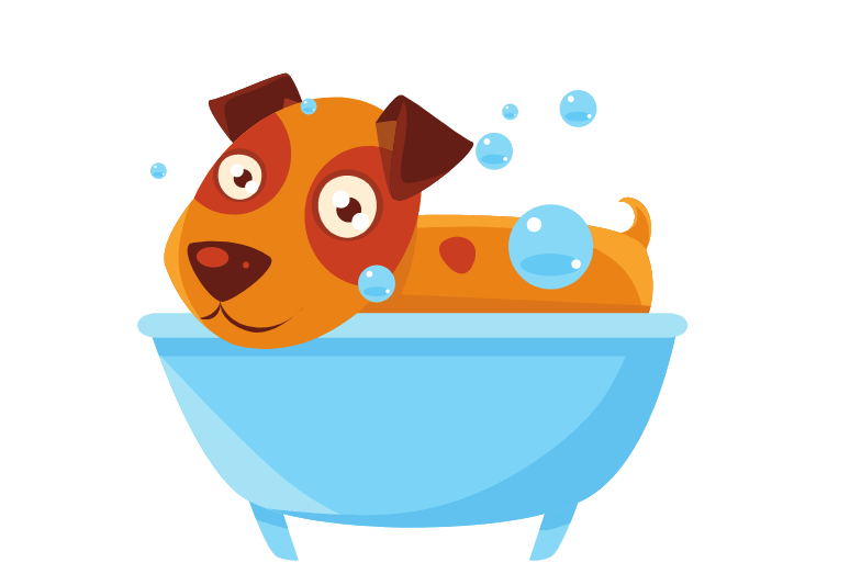 How often should you bathe a puppy – Washing And Brushing Your Dog