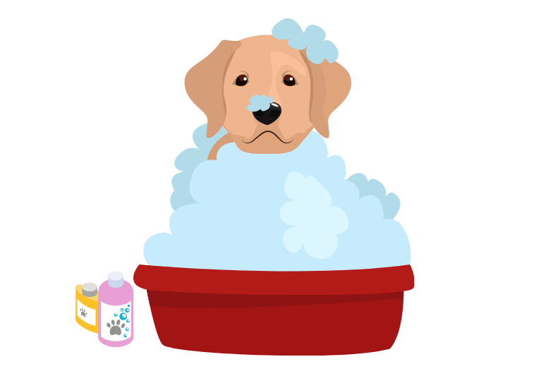 How often should you bathe a puppy – Is it bad to bathe your dog every week?