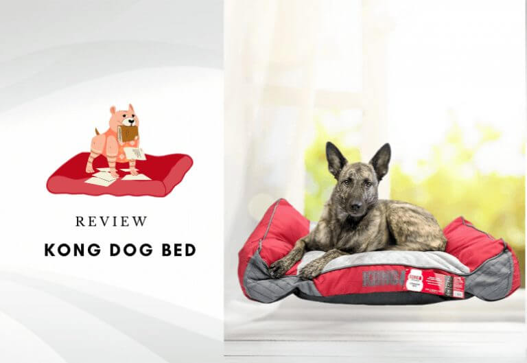 kong dog bed reviews - kong beds are really indestructible - chew resistant kong beds