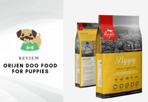 Orijen puppy food review – Orijen dog food for puppies reviews