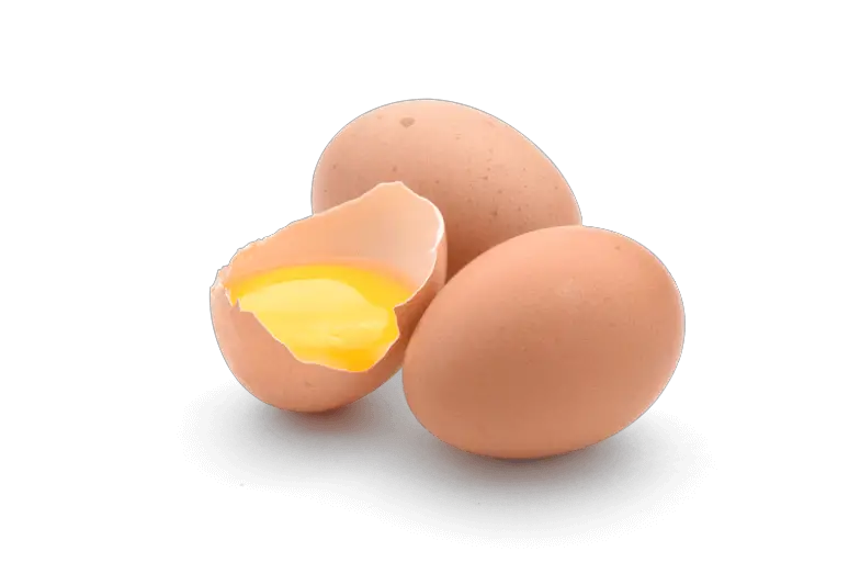 Frequently asked questions about feeding a dog raw eggs