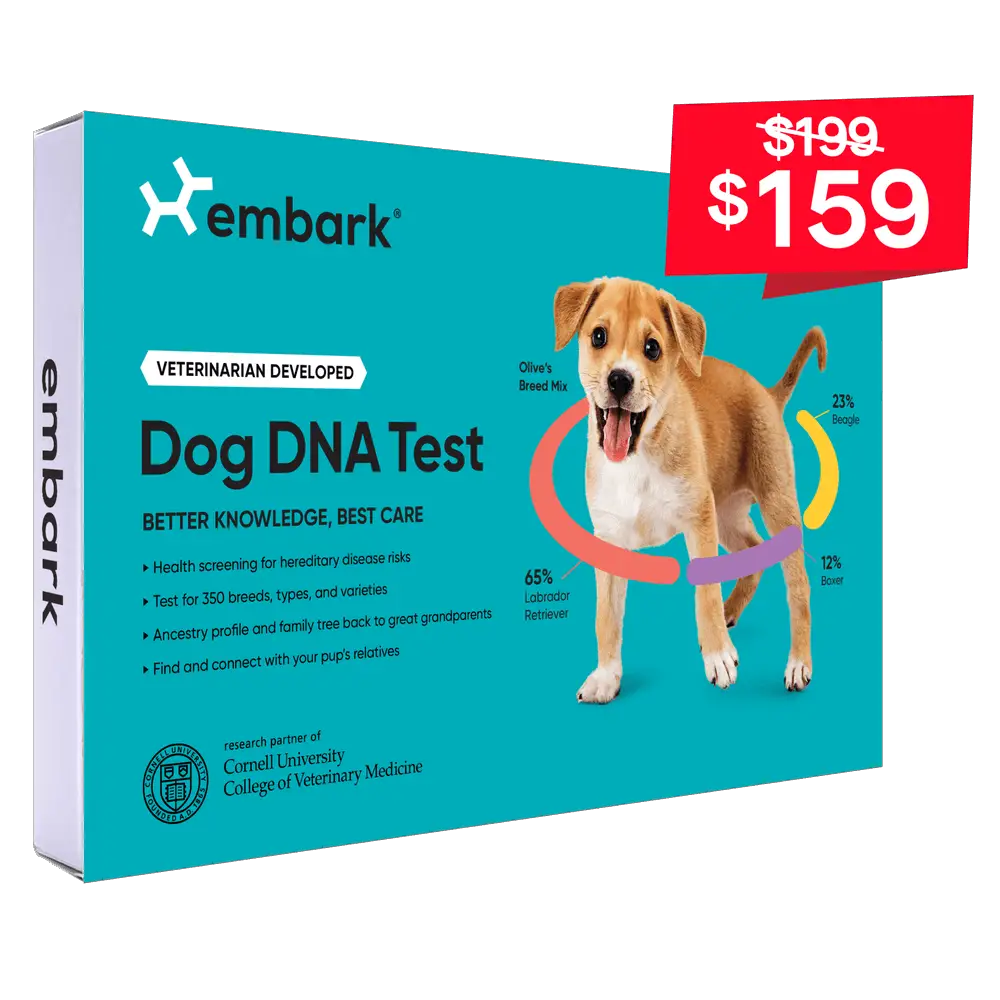 Embark - Discover Your Dog's Ancestry With The Help Of Professionals!