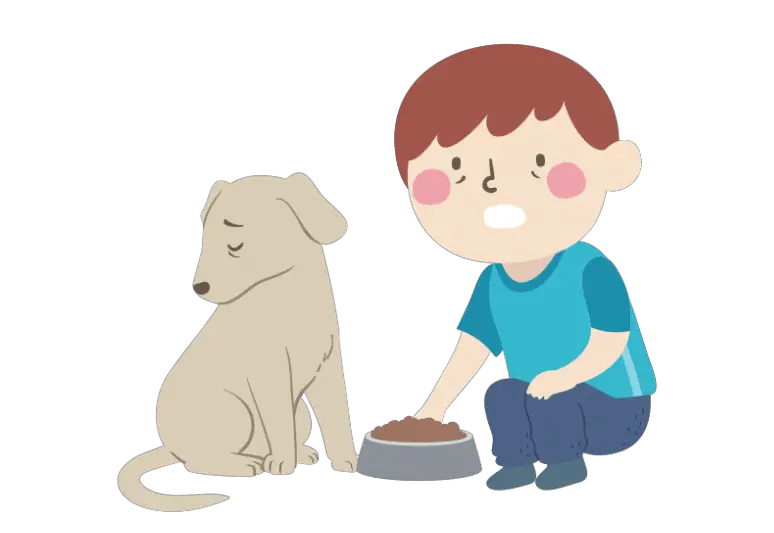 What causes lack of appetite in dogs - What do you do when your dog won't eat