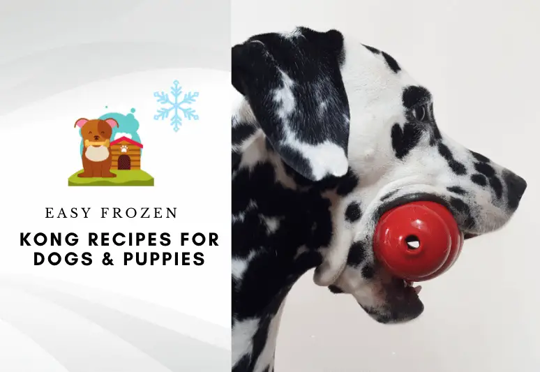 Best Frozen Kong Recipes For Dogs And Puppies - how to stuff a kong