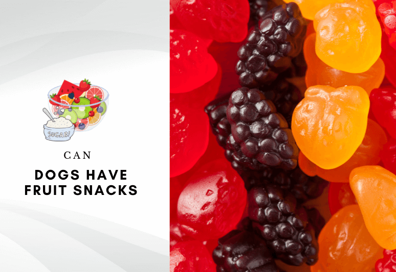 Can Dogs Have Fruit Snacks - are fruit snacks harmful to dogs - Can dogs eat fruit snack gummies