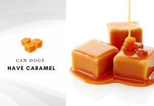 Can dogs have caramel- is caramel safe for dogs - can my dog eat caramel