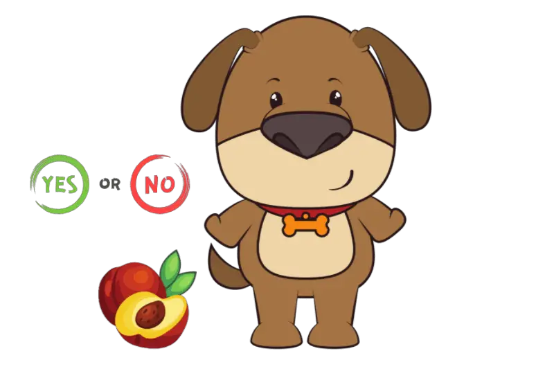 Can dogs have nectarines - are nectarines safe for dogs - can my dog eat nectarine