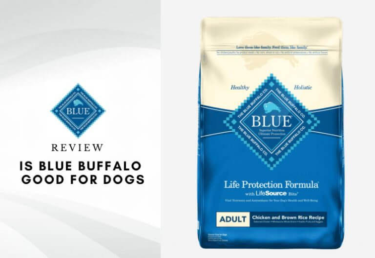 Is Blue buffalo safe for puppies - is blue buffalo good for dogs (1)