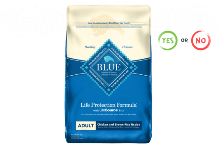 Is Blue Buffalo Good for Dogs & Puppies? (Review 2022)