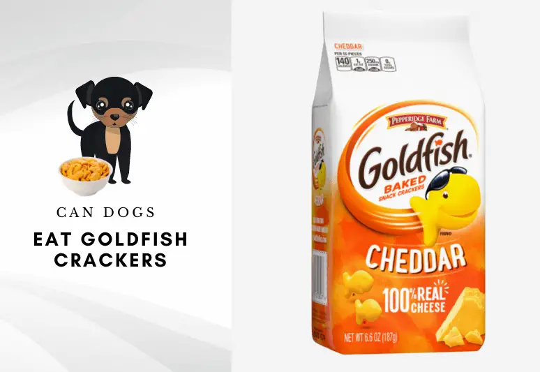 can dogs eat goldfish crackers – can dogs have goldfish crackers