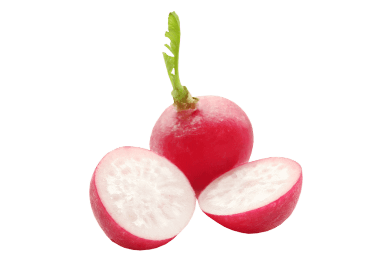 can dogs eat radishes - can dogs have radishes - can i give to my dog radish