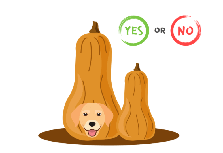 can dogs have butternut squash - butternut squash for dog constipation
