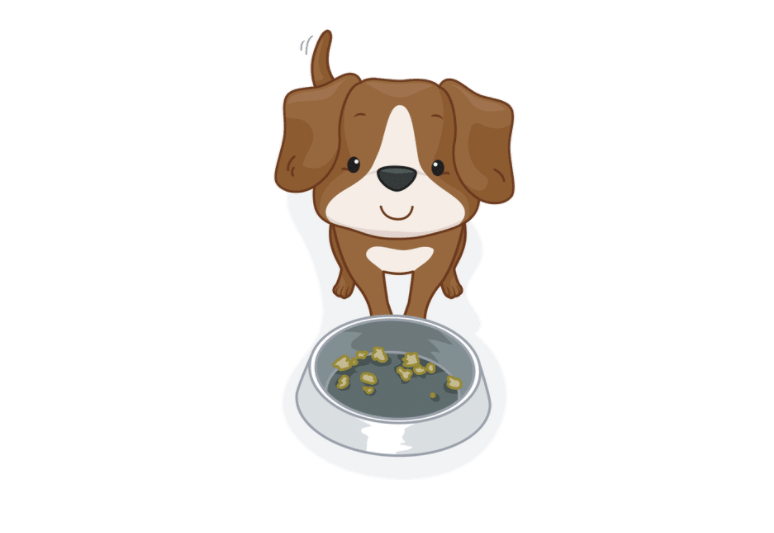 Are dogs allowed to eat human food – what are dogs allowed to eat