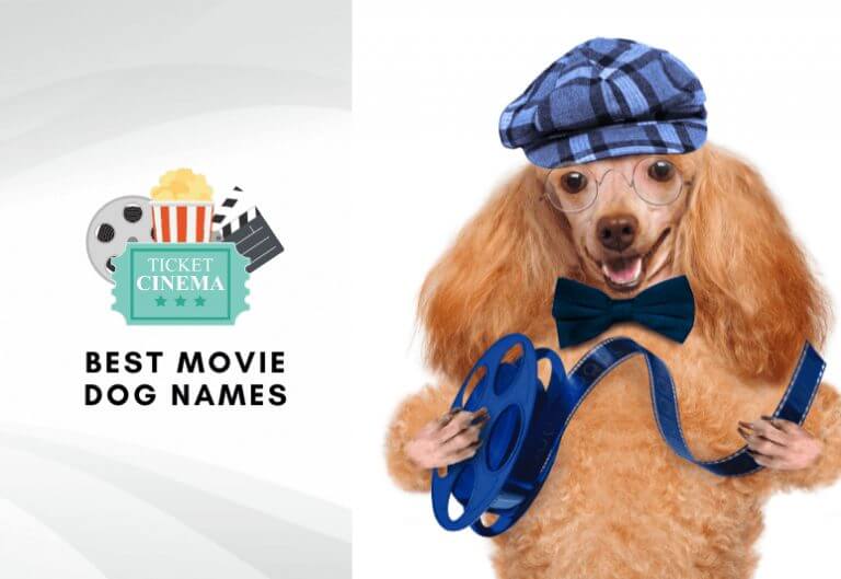 Best movie dog names - Best dog names from movies, cartoons and TV