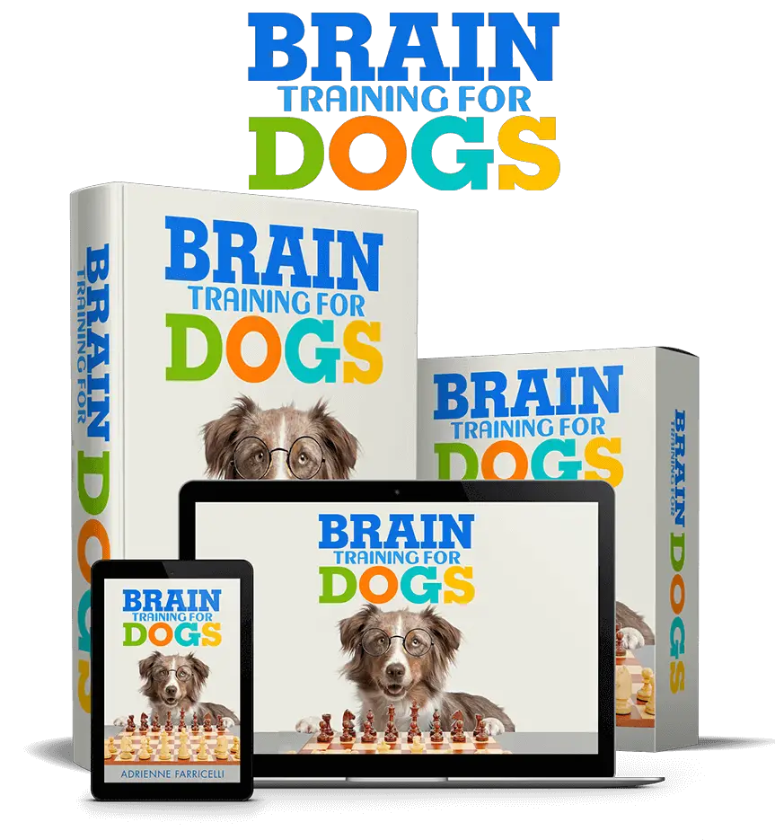 Brain Training For Dogs - Unleash Your Puppy’s Hidden Intellect!
