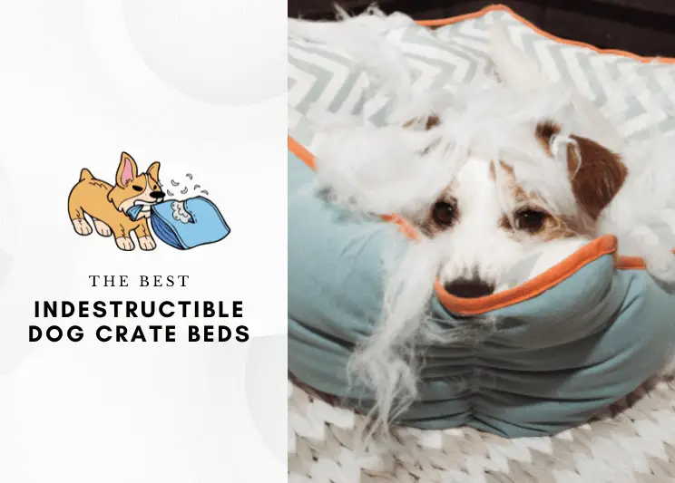 Best Indestructible Dog Crate Beds