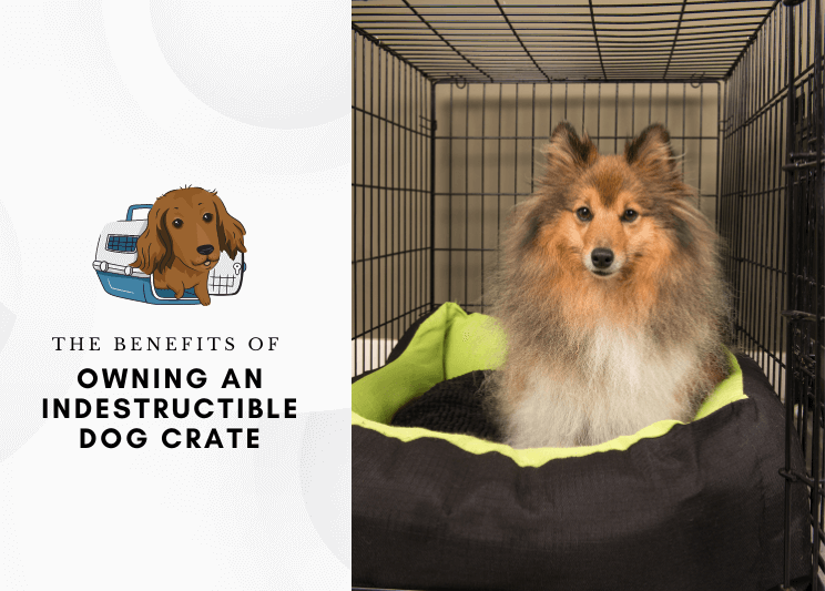 The Benefits Of Owning An Indestructible Dog Crate